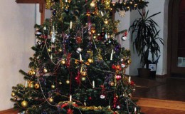 IMG_2688_small