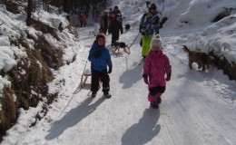 Rodeln_23-2-2013_04